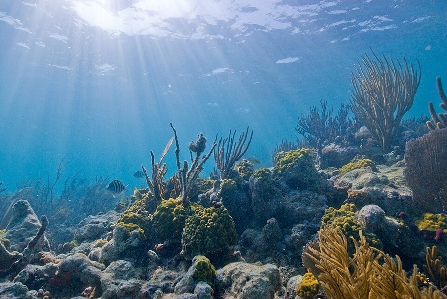 Biscayne National Park