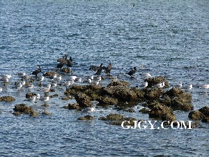 Biscayne National Park