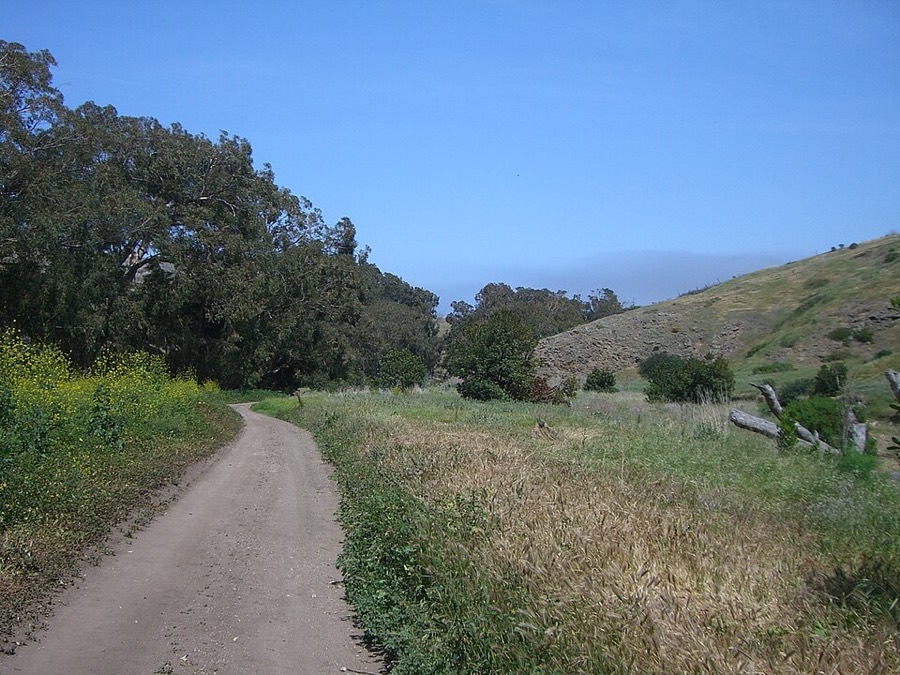 Channel Islands National Park