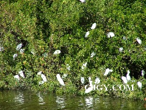 Everglades National Park