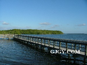 Coastal mangroves