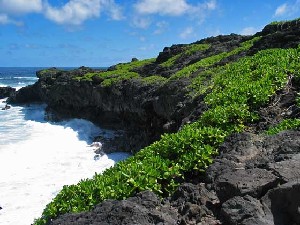 Haleakalā National Park