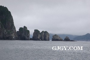 An islet in Kenai Fjords