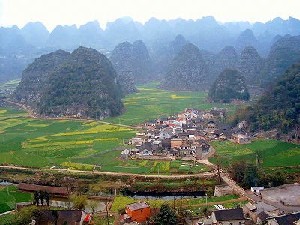 The Wanfeng peak forest