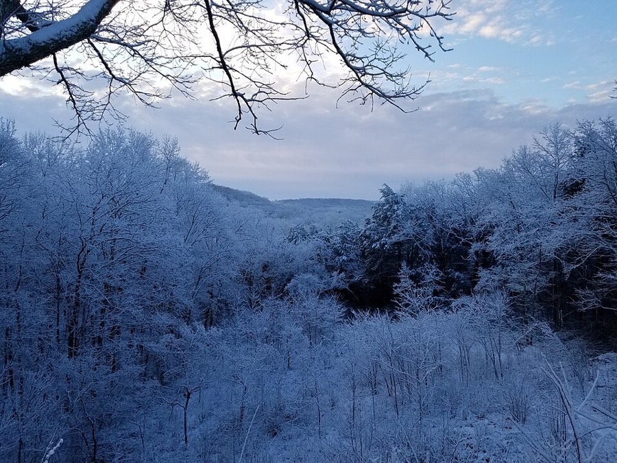 Mammoth Cave National Park