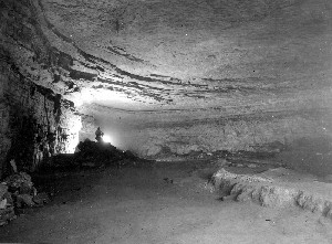 Mammoth Cave National Park