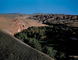 The Mogao Caves