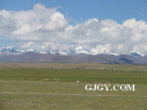 Lakeside meadow and distant snow mountains
