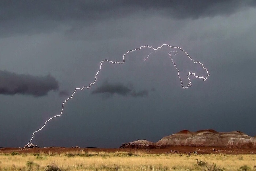 Petrified Forest National Park