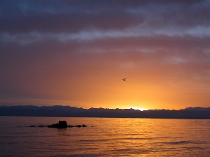 Qinghai Lake