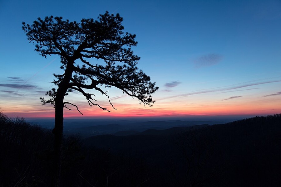 Shenandoah National Park