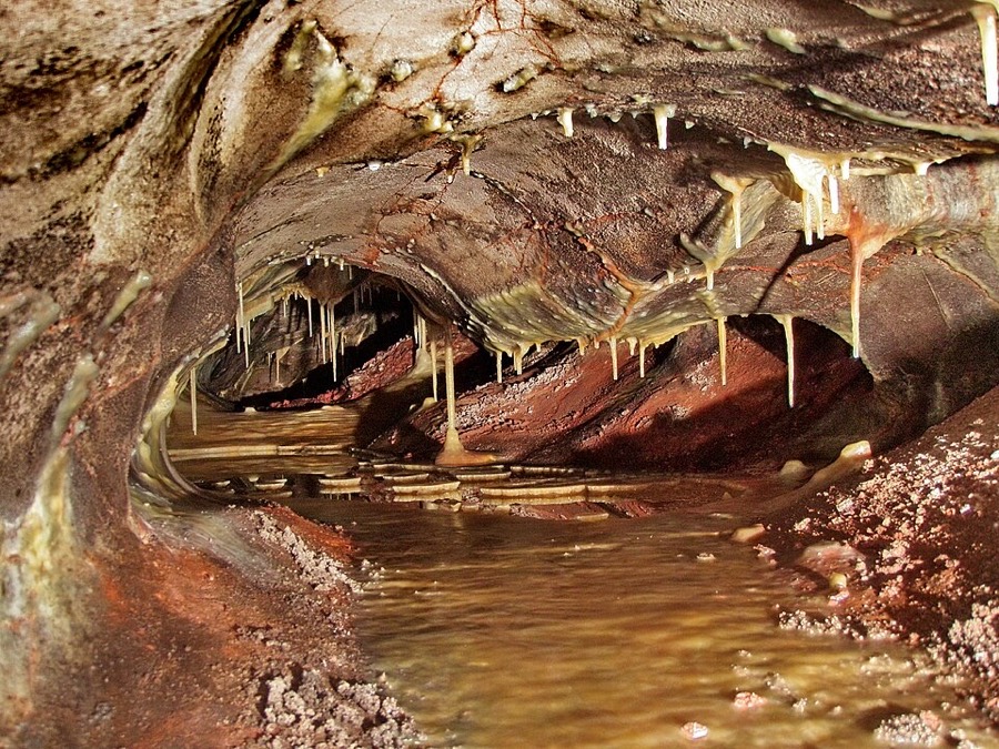 Wind Cave National Park