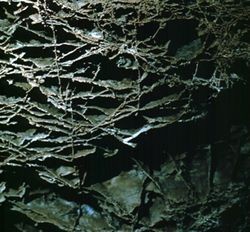 Wind Cave National Park