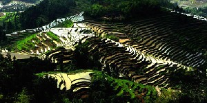 The Ziquejie terraces